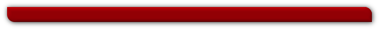 GLOBAL ACCOUNTING SYSTEM