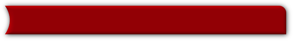 GLOBAL ACCOUNTING SYSTEM