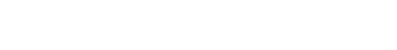 GLOBAL ACCOUNTING SYSTEM